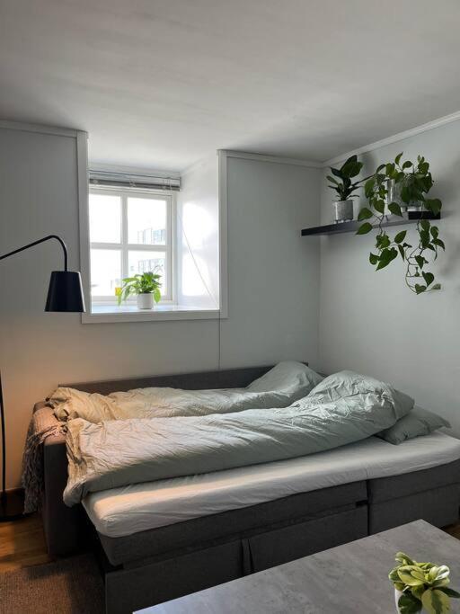 Cozy Ground Floor Apartment Τρόμσο Εξωτερικό φωτογραφία