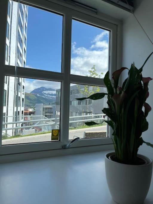 Cozy Ground Floor Apartment Τρόμσο Εξωτερικό φωτογραφία
