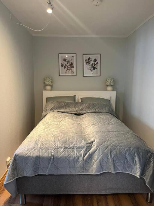 Cozy Ground Floor Apartment Τρόμσο Εξωτερικό φωτογραφία