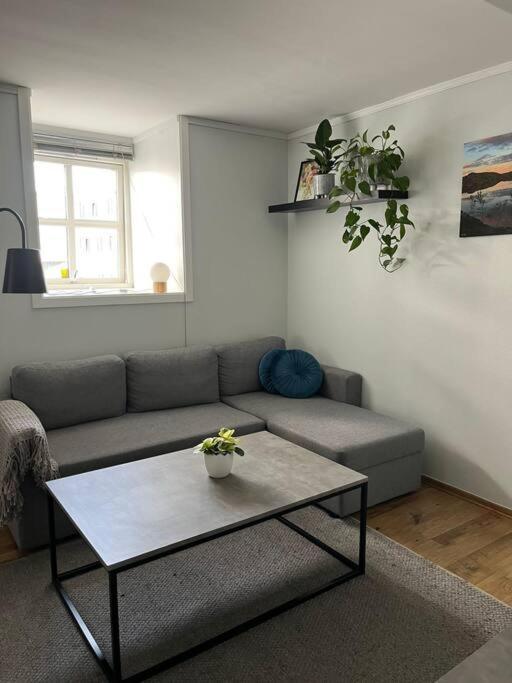 Cozy Ground Floor Apartment Τρόμσο Εξωτερικό φωτογραφία