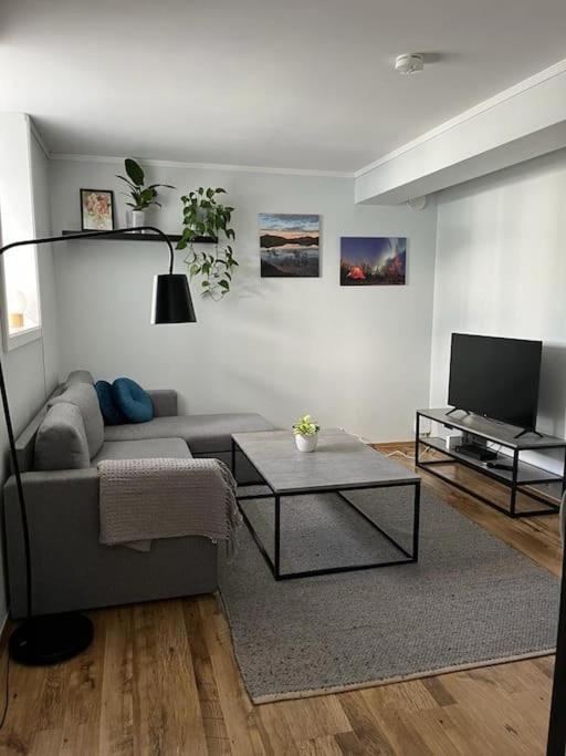 Cozy Ground Floor Apartment Τρόμσο Εξωτερικό φωτογραφία