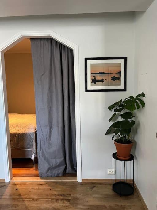 Cozy Ground Floor Apartment Τρόμσο Εξωτερικό φωτογραφία